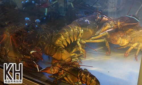 《風車驛站》波士頓活龍蝦