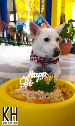 《拉斐爾廚坊》店狗Rich